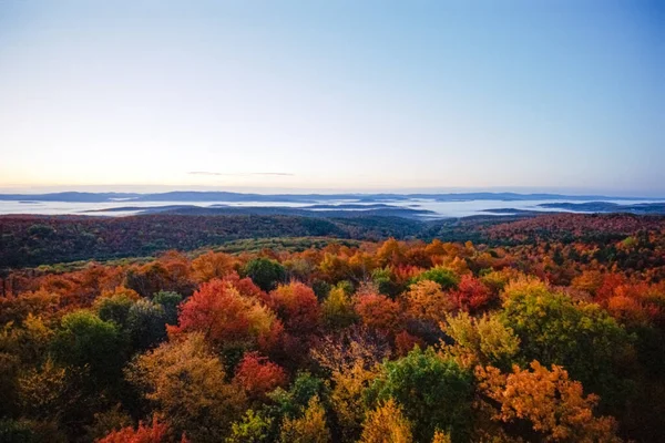 Folhagem da floresta de queda de New Hampshire ao nascer do sol — Fotografia de Stock