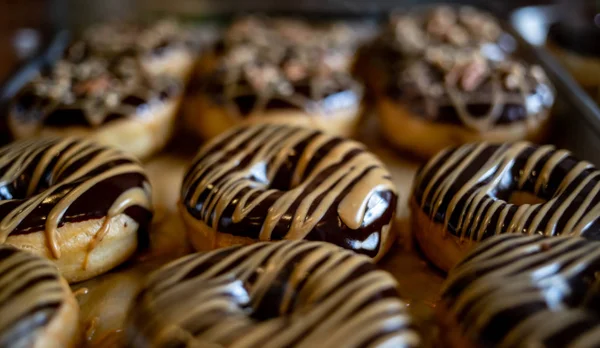Um Dozen Vegan Donuts em uma bandeja — Fotografia de Stock