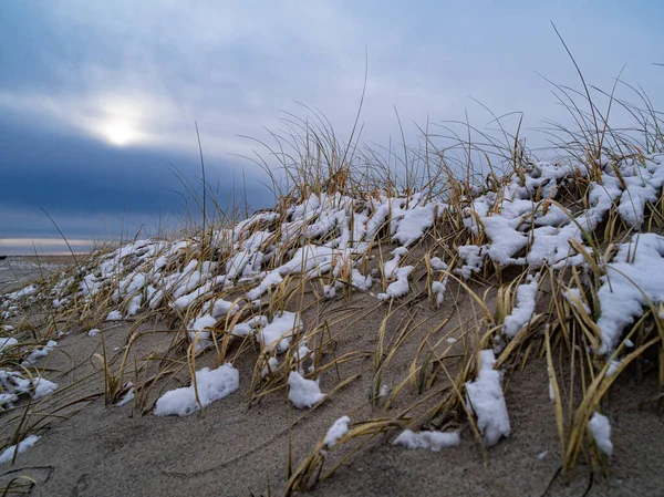 岬の砂の砂丘を覆う草｜コッドビーチ — ストック写真