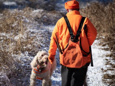Bir kuş avcısı İtalyan Spinone av köpeğini selamlıyor.