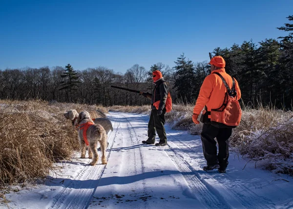 Dva lovci sledují své psy, jak čenichají ptáka — Stock fotografie