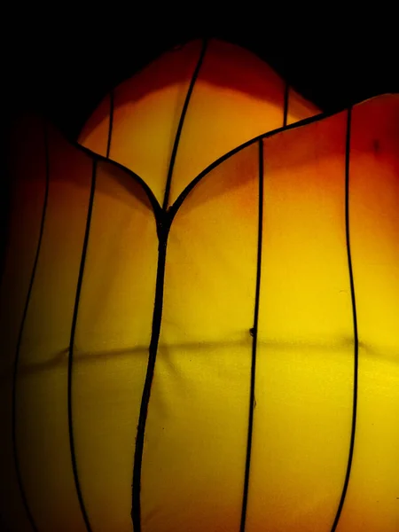 Rose Petals From A Chinese Lantern With Red And Yellow — Stock Photo, Image