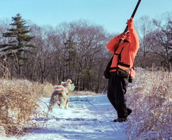 Un hombre tiene una oportunidad en un juego de pájaro en una caza — Foto de Stock