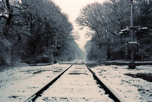 Vonat pályák eltűnik a távolság egy hóvihar Stock Kép