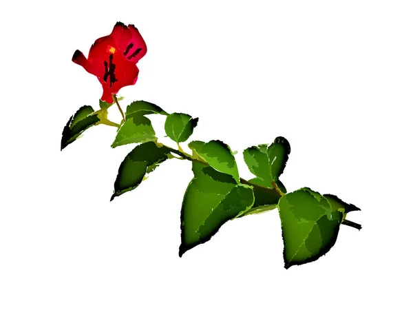 Ілюстрація Червоної Квітки Білому Тлі Шпалер Або Текстури — стокове фото