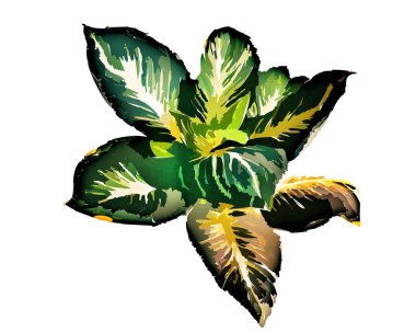 Duvar kağıdı veya doku için beyaz arkaplanda yeşil yaprak çizimi.