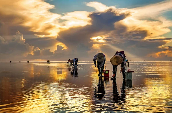 Fishermen Catch Fish Dawn Asia — Stock Photo, Image