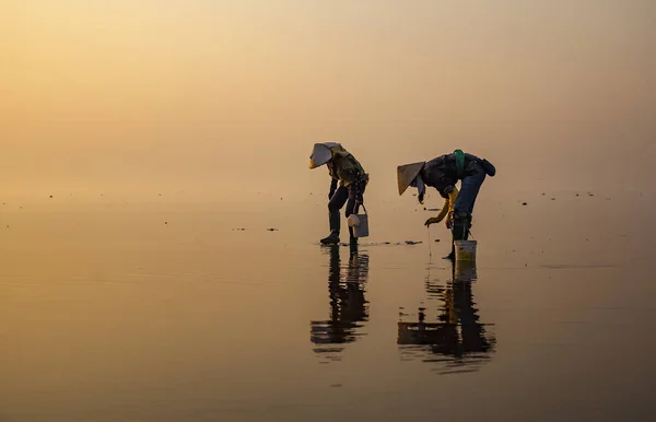 Pêcheurs Pêchent Poisson Aube Asie — Photo