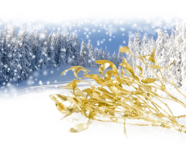 Gold Mistletoe Branch — Stock Photo, Image