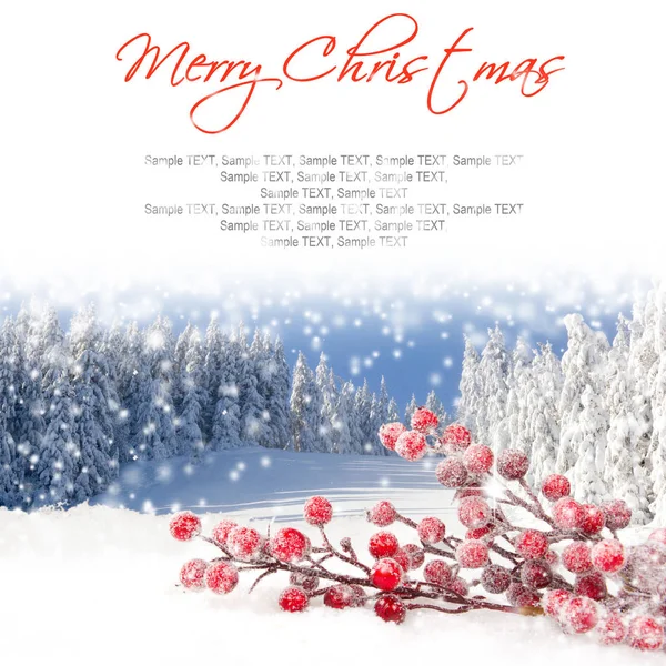 Christmas Branch Background — Stock Photo, Image