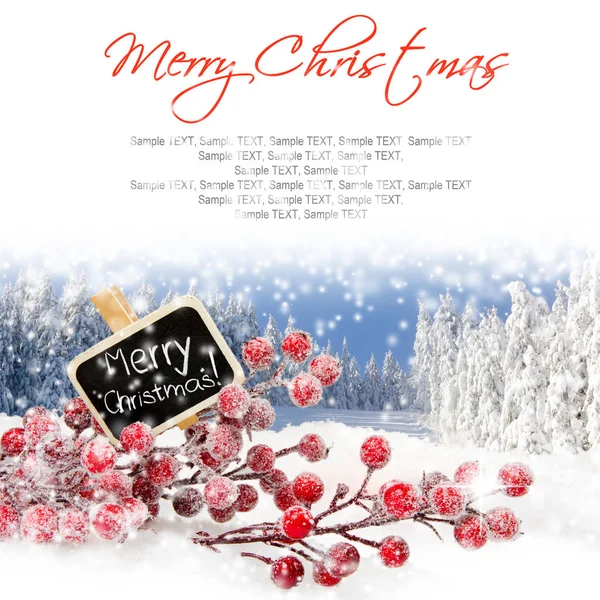 Christmas Branch Background — Stock Photo, Image
