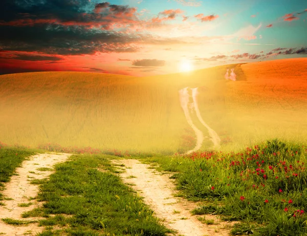 Sunset field and road — Stock Photo, Image