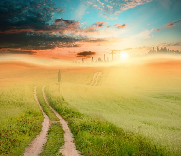 Sunset field and road — Stock Photo, Image