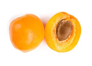 Kayısı Grubu izole edildi