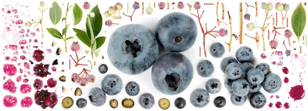 Blueberry Collection Abstract — Stock Photo, Image