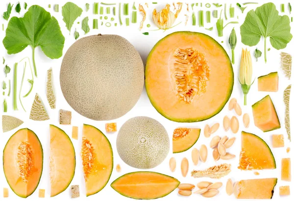 Cantaloupe meloen collectie abstract — Stockfoto