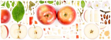 Apple Collection Özet