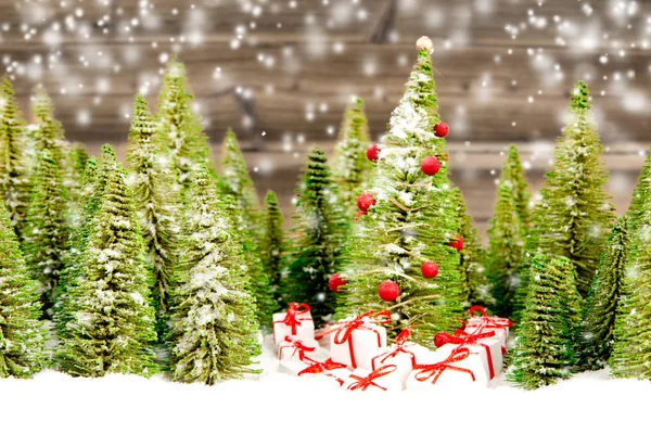 Christmas Tree and with Gifts in the Forest — Stock Photo, Image