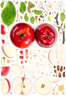 Apple Collection Özet