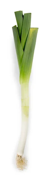 Single Leek Isolated — стоковое фото