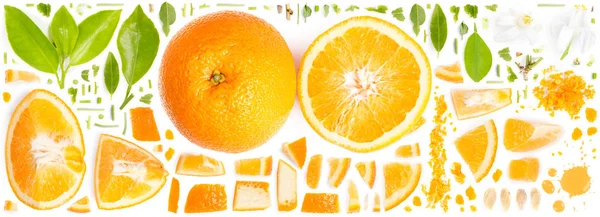 Fatia de laranja e coleção de folhas — Fotografia de Stock