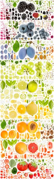 Mehrfarbige Fruchtschnitt- und Blattsammlung — Stockfoto