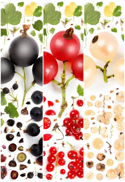 Grote Collectie Van Bessen Fruit Stukken Plakken Bladeren Geïsoleerd Wit — Stockfoto