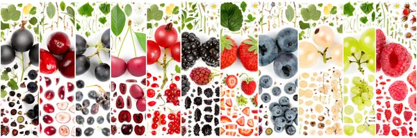 Grote Collectie Van Bessen Fruit Stukken Plakken Bladeren Geïsoleerd Wit — Stockfoto