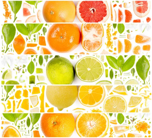 Große Sammlung Von Zitronen Limetten Orangen Grapefruit Und Mandarinenzitrusfruchtstücken Scheiben lizenzfreie Stockbilder