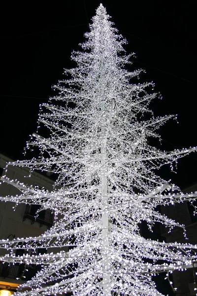 white christmas tree in the square