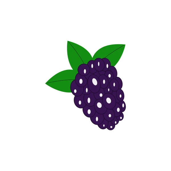 Color Illustration Blackberry Juicy Ripe Berry Vector Illustration — Stock Vector