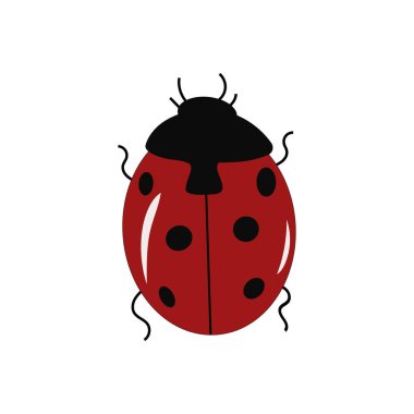 Beyaz arka planda sevimli uğur böceği. Vektör illüstrasyonu.