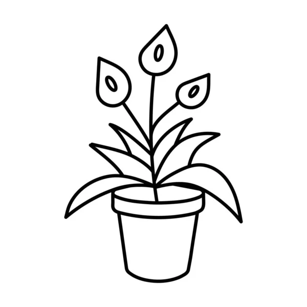 Ручной Рисунок Крытый Цветок Черный Контур Изолирован Белом Фоне Элемент — стоковый вектор