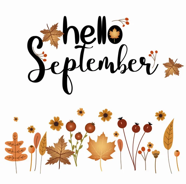 Hola Mes Septiembre Con Flores Hojas Otoño Decoración Floral Ilustración — Vector de stock