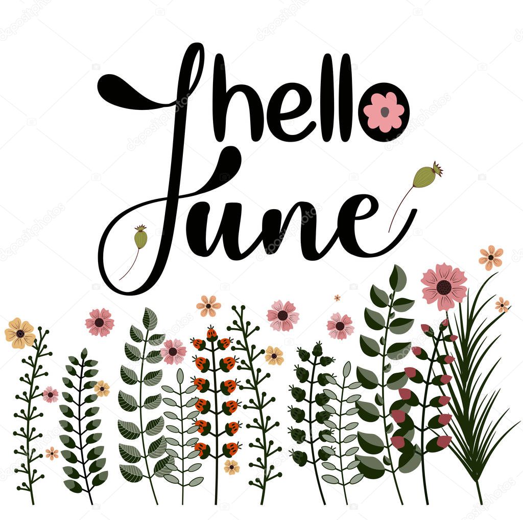 Hello June month with flowers and leaves. Decoration floral. Illustration month June
