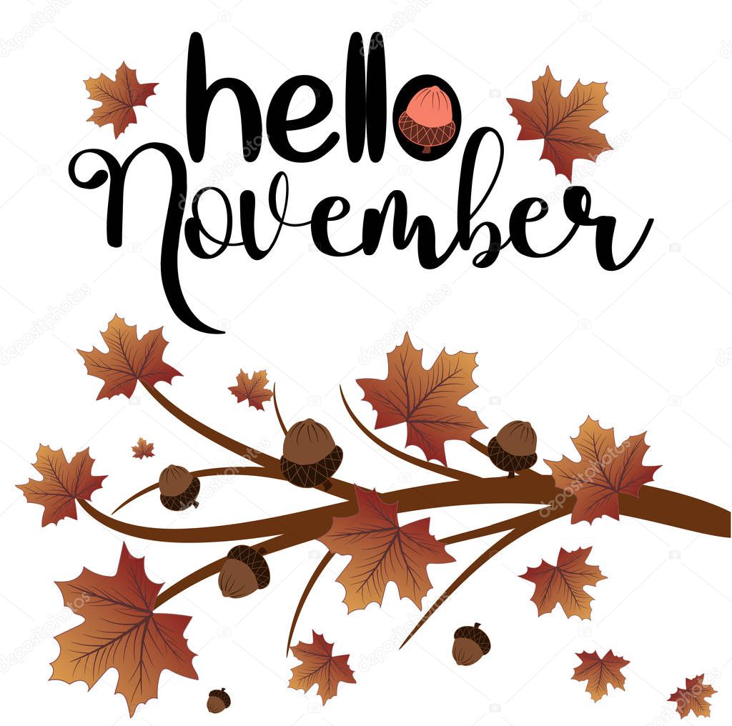 Hello month november vector with autumn leaves. Illustration november. Decoration autumn