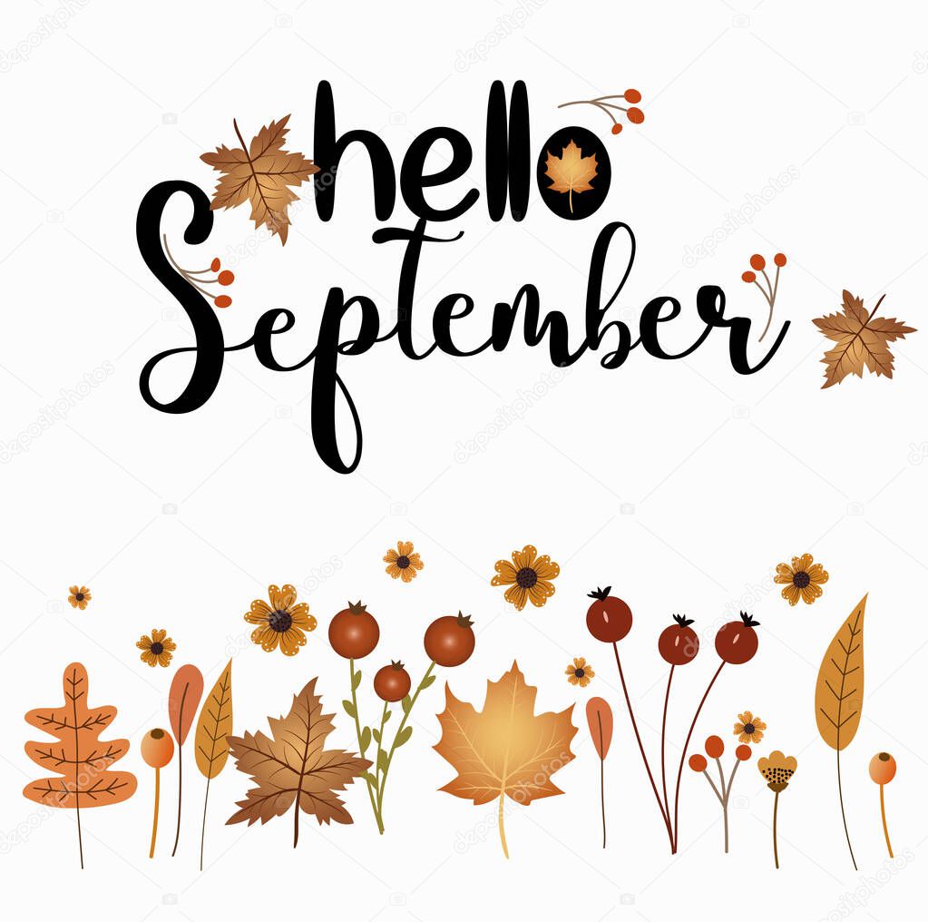 Hello September month with Autumn flowers and leaves. Decoration floral. Illustration month September.