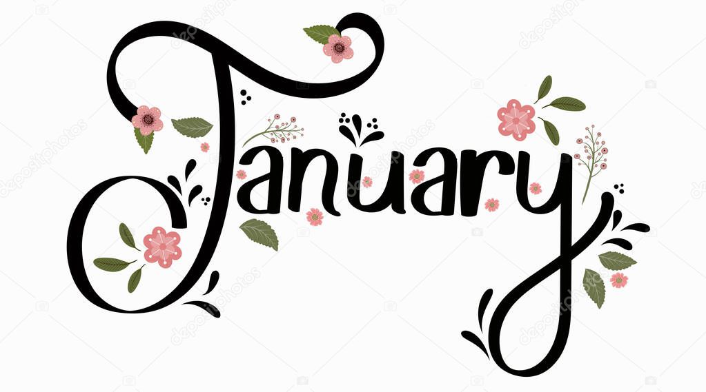 JANUARY month vector with flowers and leaves. Decoration text floral. Hand drawn lettering. Illustration January calendar