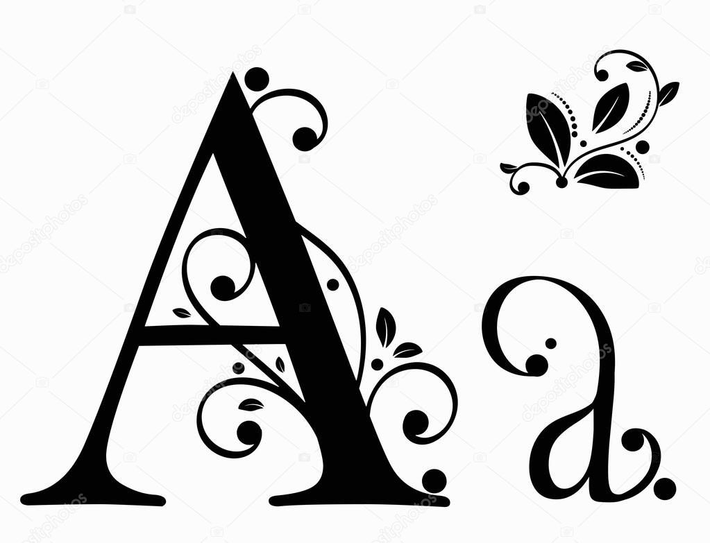 Decorated Alphabet with vintage vector, Letter A upper and lower case with leaves vector. Decoration vintage for invites card and other concept ideas. Illustration alphabet