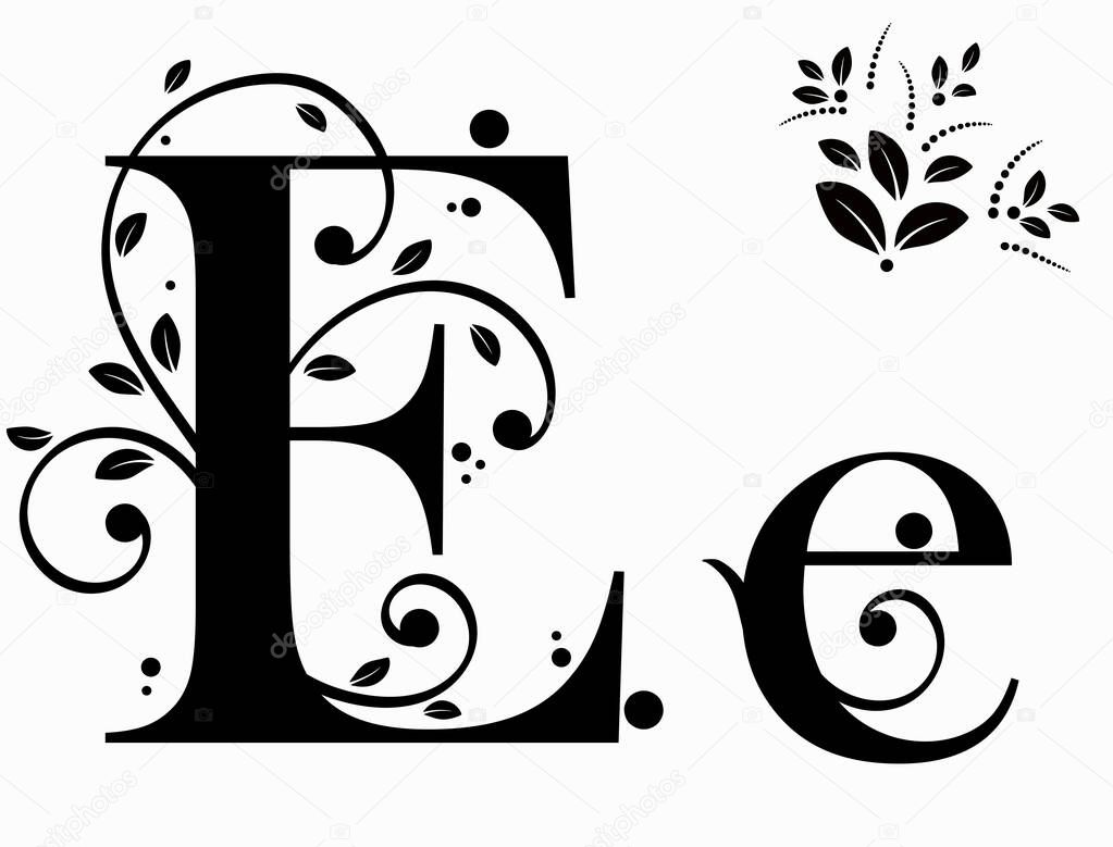 Decorated Alphabet with ornaments vintage vector, Letter E upper and lower case with leaves vector. Decoration vintage for invites card and other concept ideas. Illustration alphabet