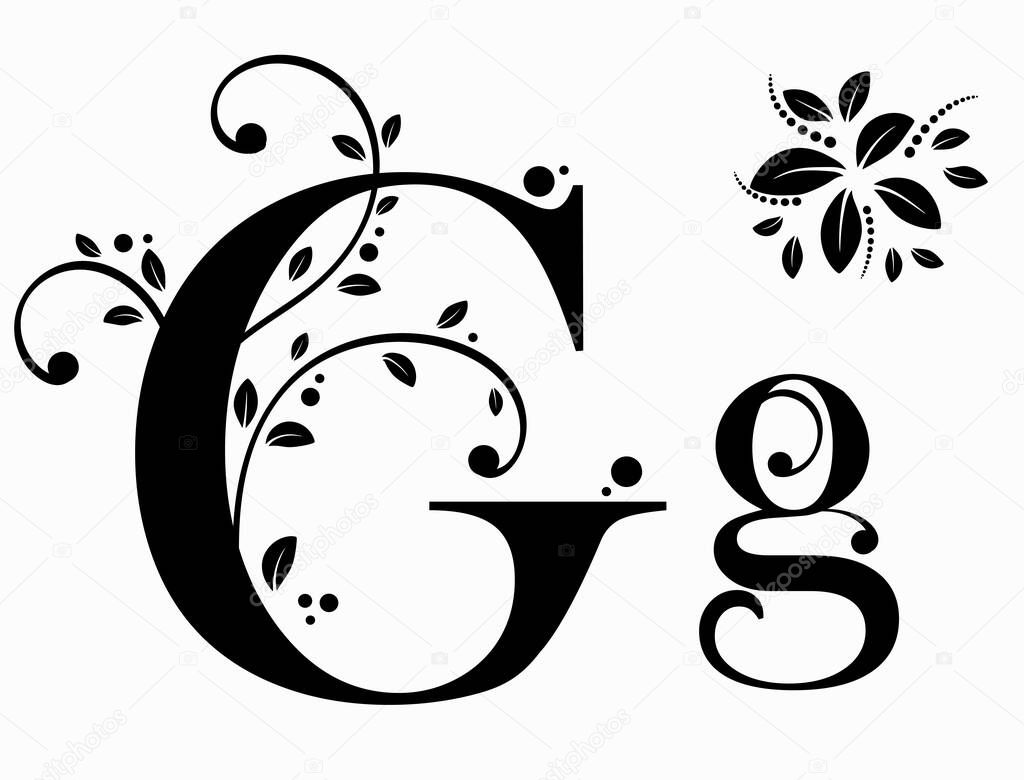 Decorated Alphabet with ornaments vintage vector, Letter G upper and lower case with leaves vector. Decoration vintage for invites card and other concept ideas. Illustration alphabet