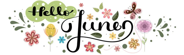 Hallo June Juni Maand Vector Decoratie Met Bloemen Vlinders Bladeren — Stockvector