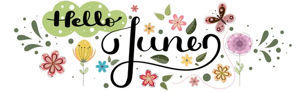 Hola June Junio Mes Decoración Vectorial Con Flores Mariposas Hojas — Vector de stock