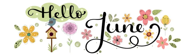 Hola June Junio Mes Decoración Vectorial Con Flores Pajarera Hojas — Vector de stock