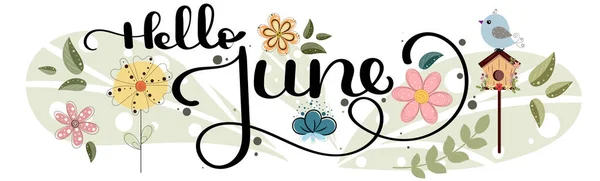 Hola June Junio Mes Decoración Vectorial Con Flores Mariposas Hojas — Archivo Imágenes Vectoriales