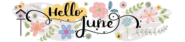 Merhaba June Çiçekler Yapraklarla Haziran Ayı Vektör Dekorasyonu Resim Ayı — Stok Vektör