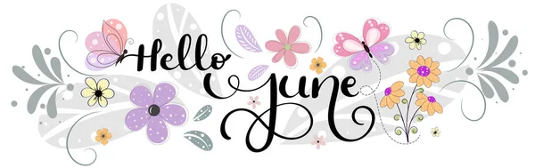 Hola June Junio Mes Decoración Vectorial Con Flores Mariposas Hojas — Vector de stock