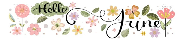 Hola June Junio Mes Decoración Vectorial Con Flores Mariposas Hojas — Vector de stock