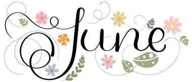 Merhaba June. Haziran ayı çiçek desenli vektör süslemesi ve yapraklar. Resim ayı Haziran