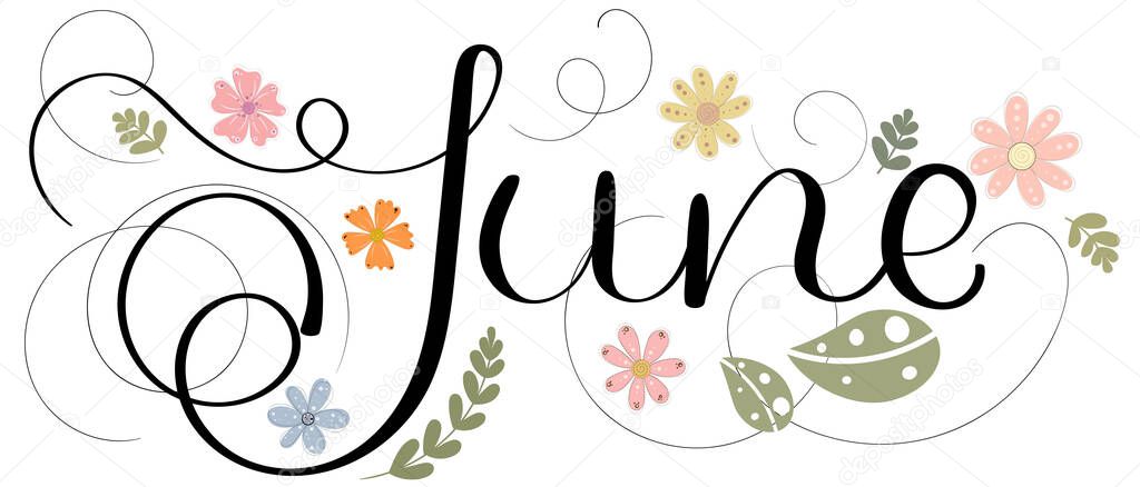 Hello June. June month vector decoration with flowers, and leaves. Illustration month June